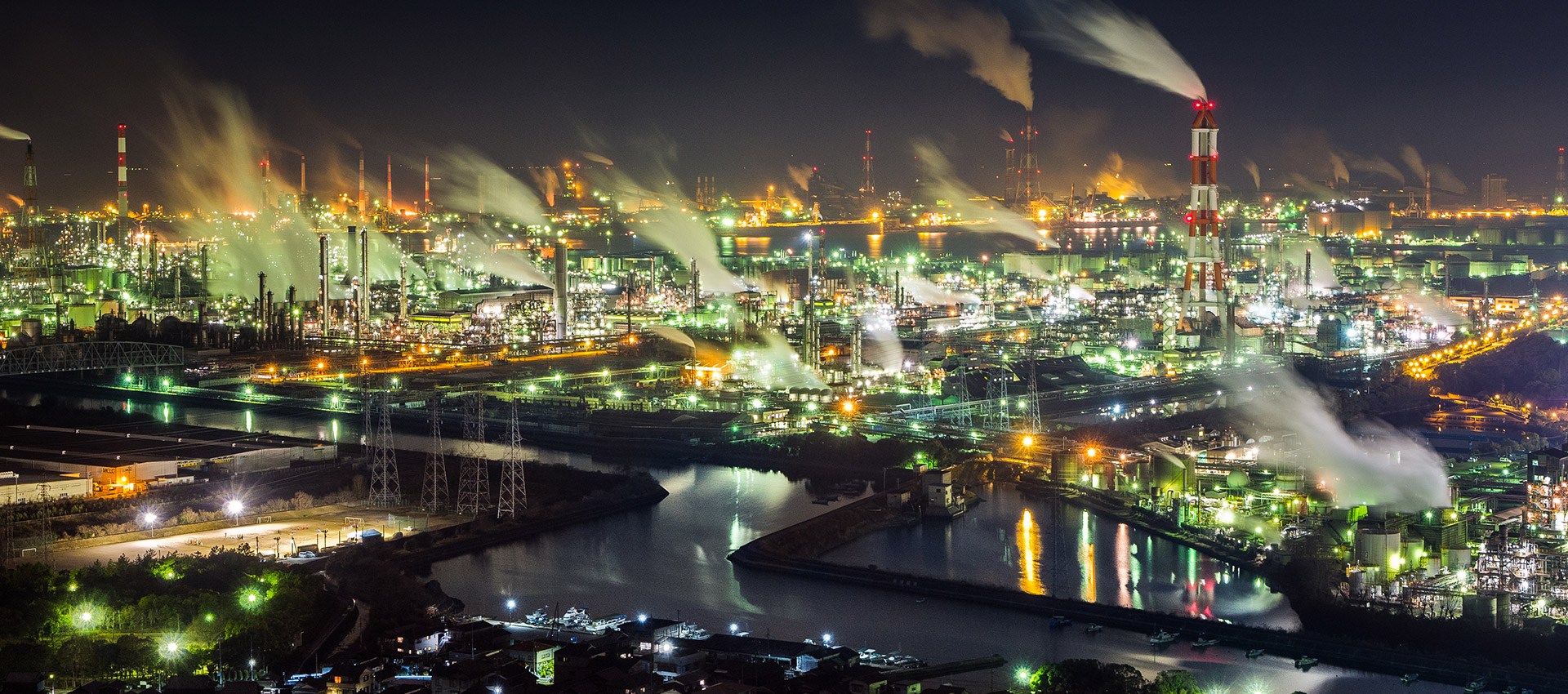 plant by night and smoke